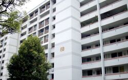 Blk 491 Jurong West Avenue 1 (Jurong West), HDB 3 Rooms #427446721
